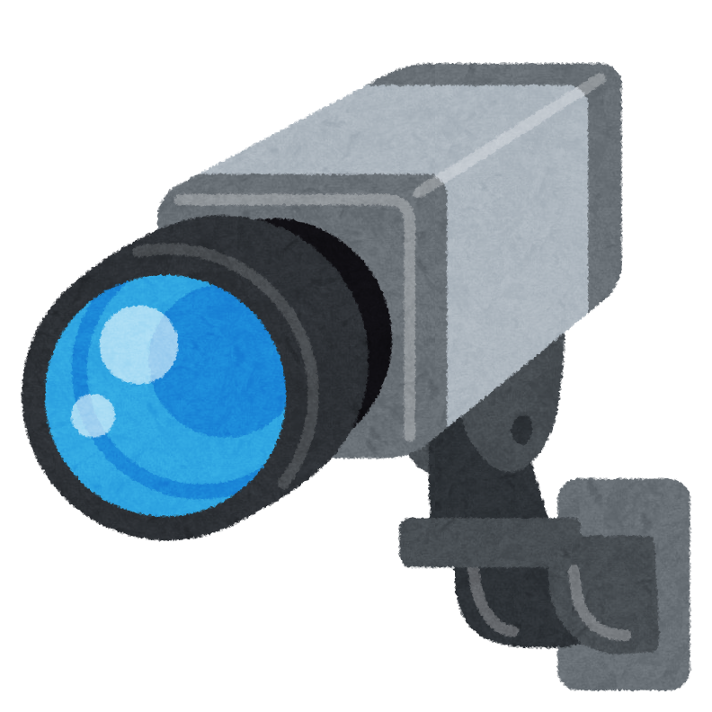 TS cam